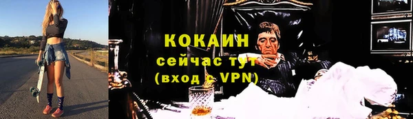 гидра Вязьма