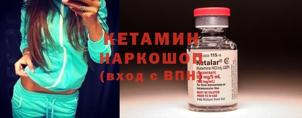 гидра Вязьма
