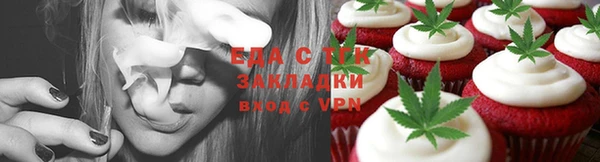 гидра Вязьма