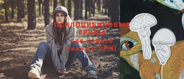 дмт Горно-Алтайск
