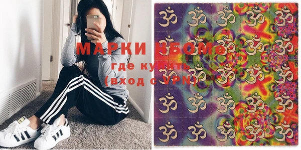 гидра Вязьма