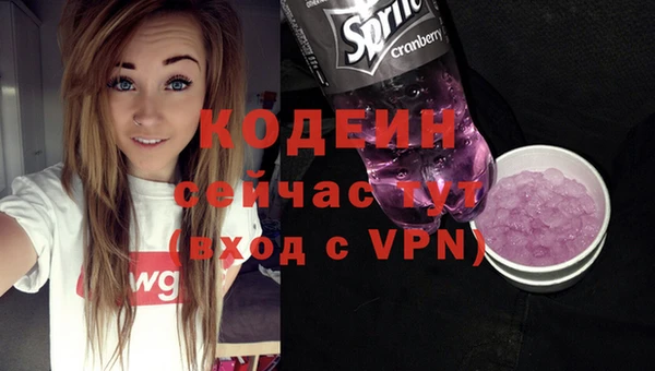 дурь Вяземский