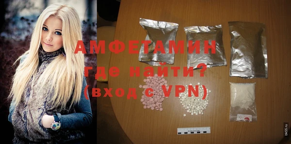 гидра Вязьма
