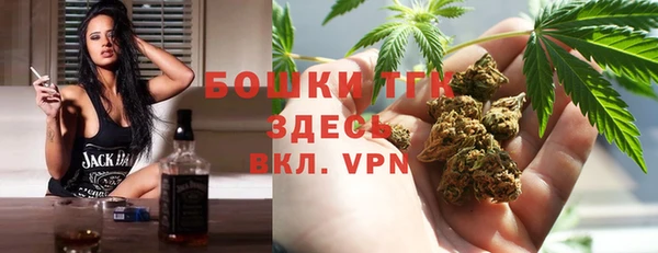 гидра Вязьма