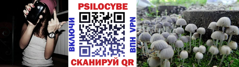 как найти закладки  Егорьевск  mega ТОР  Галлюциногенные грибы Magic Shrooms 